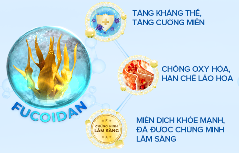 công dụng fucoidan là gì