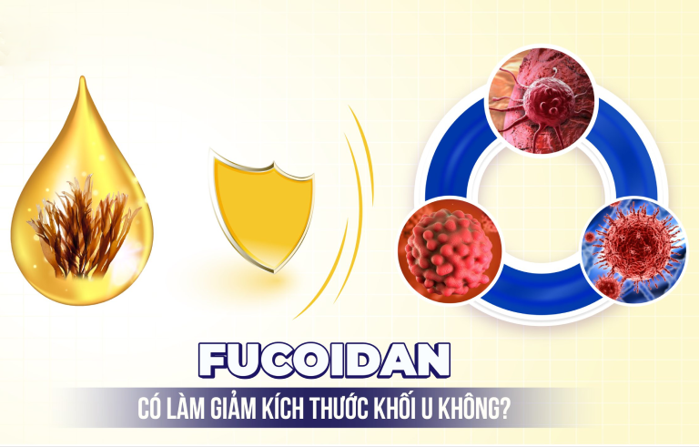 Fucoidan có làm giảm kích thước khối u không